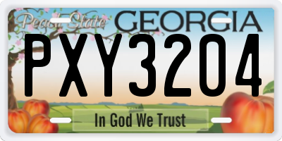 GA license plate PXY3204