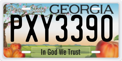 GA license plate PXY3390