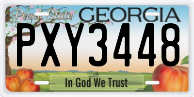 GA license plate PXY3448