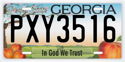 GA license plate PXY3516