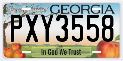 GA license plate PXY3558