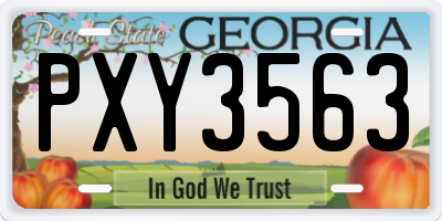 GA license plate PXY3563