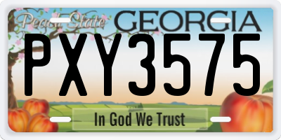 GA license plate PXY3575