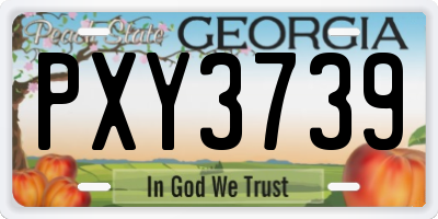 GA license plate PXY3739