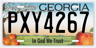 GA license plate PXY4267