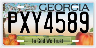 GA license plate PXY4589