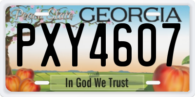 GA license plate PXY4607
