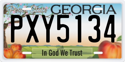 GA license plate PXY5134