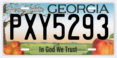 GA license plate PXY5293