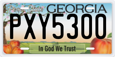 GA license plate PXY5300