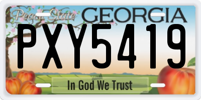 GA license plate PXY5419