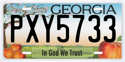 GA license plate PXY5733