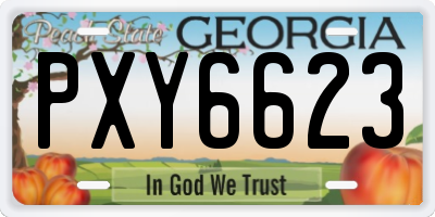 GA license plate PXY6623