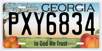 GA license plate PXY6834