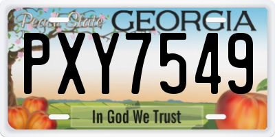 GA license plate PXY7549