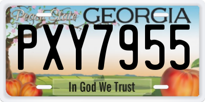 GA license plate PXY7955