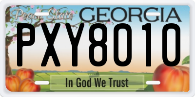 GA license plate PXY8010
