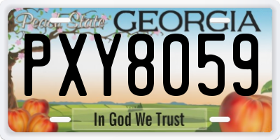 GA license plate PXY8059