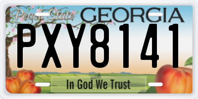 GA license plate PXY8141