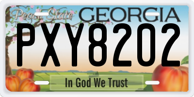 GA license plate PXY8202