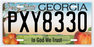 GA license plate PXY8330