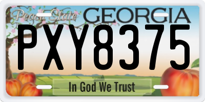 GA license plate PXY8375