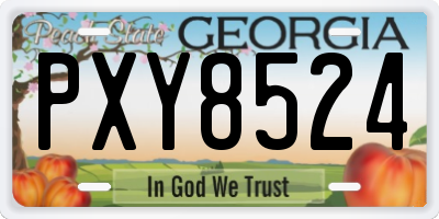 GA license plate PXY8524