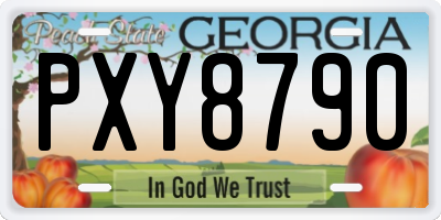 GA license plate PXY8790