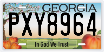 GA license plate PXY8964