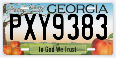 GA license plate PXY9383
