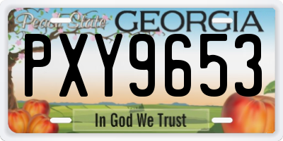 GA license plate PXY9653