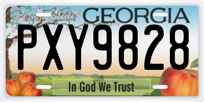GA license plate PXY9828