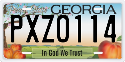 GA license plate PXZ0114