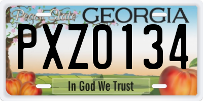 GA license plate PXZ0134