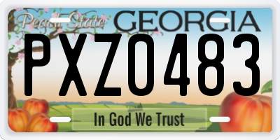GA license plate PXZ0483
