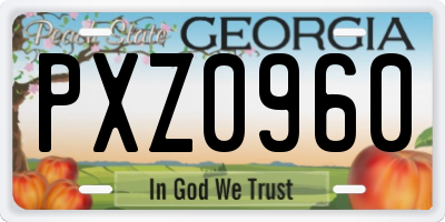 GA license plate PXZ0960