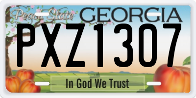 GA license plate PXZ1307