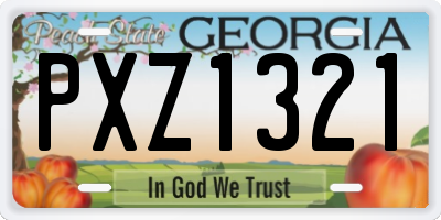 GA license plate PXZ1321