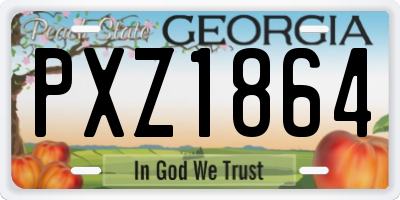 GA license plate PXZ1864