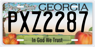 GA license plate PXZ2287