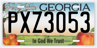 GA license plate PXZ3053