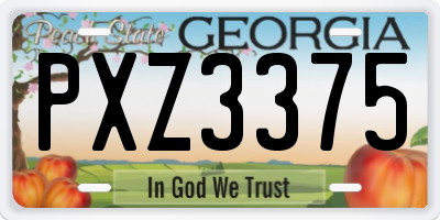 GA license plate PXZ3375