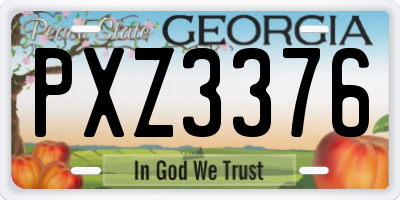 GA license plate PXZ3376