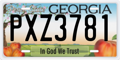 GA license plate PXZ3781