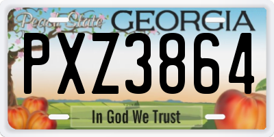 GA license plate PXZ3864