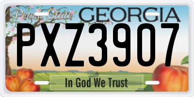 GA license plate PXZ3907