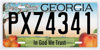 GA license plate PXZ4341