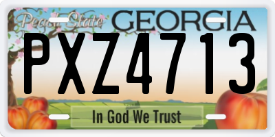 GA license plate PXZ4713