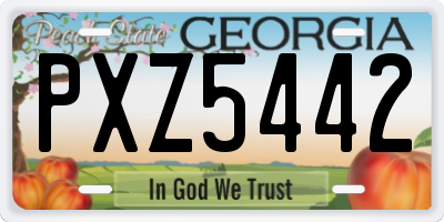 GA license plate PXZ5442