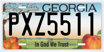 GA license plate PXZ5511